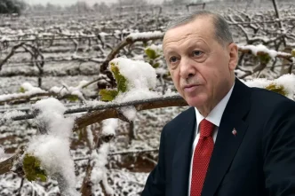 bu yil sikinti yasayacagiz diyen cumhurbaskani 18626789 2083 amp