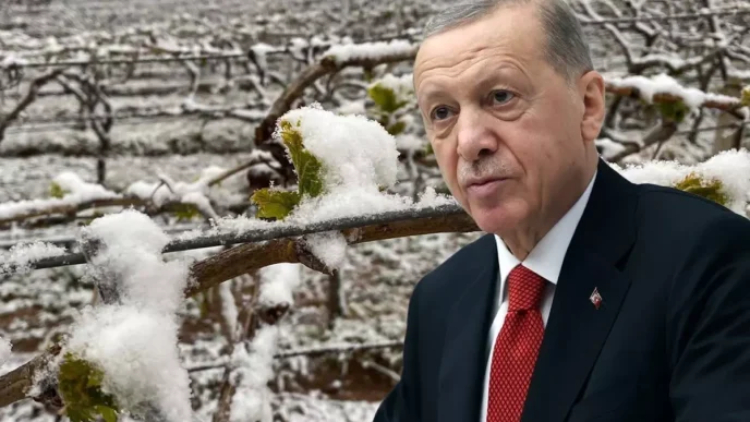 bu yil sikinti yasayacagiz diyen cumhurbaskani 18626789 2083 amp