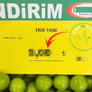 markette tane ile satilan erigin fiyatini 18576395 309 amp