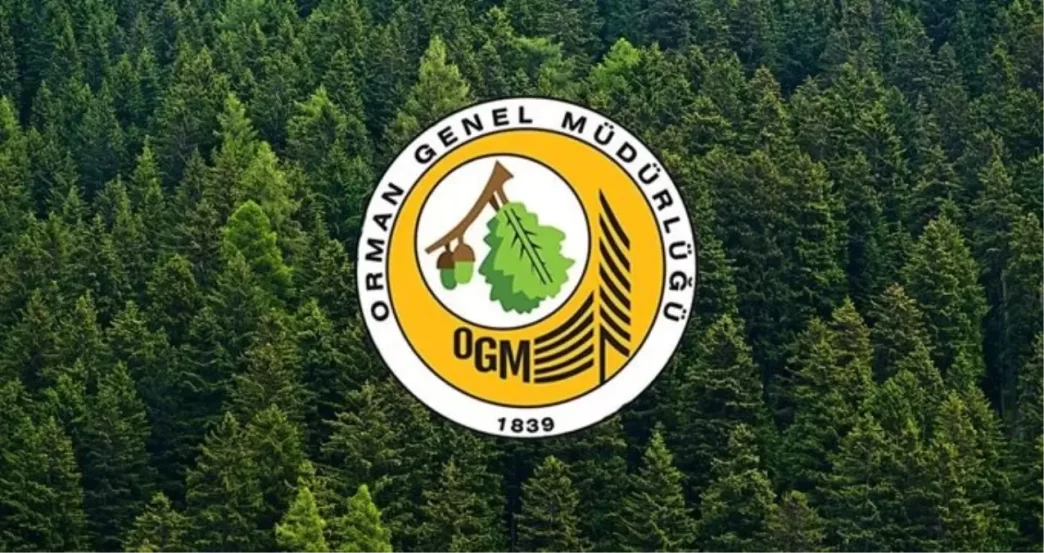 orman genel mudurlugu sonuc ekrani ogm 3 bin 477 18626684 7877 amp
