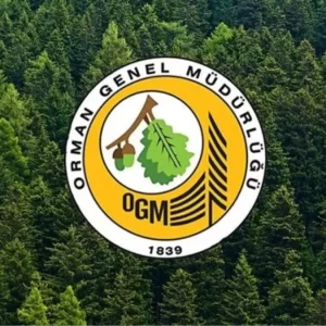orman genel mudurlugu sonuc ekrani ogm 3 bin 477 18626684 7877 amp