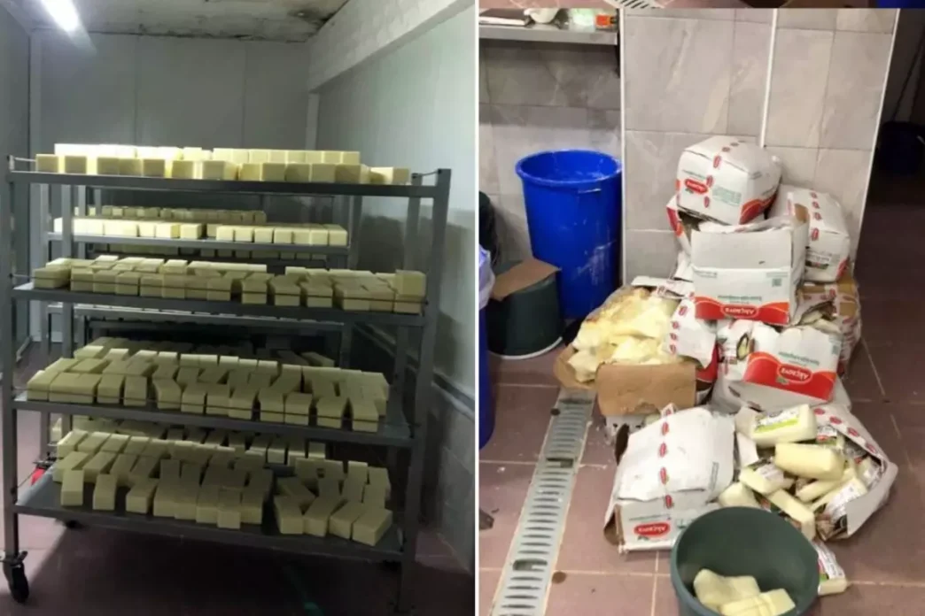 sakarya da sahte kasar peyniri operasyonu 5 ton 18654702 2264 amp