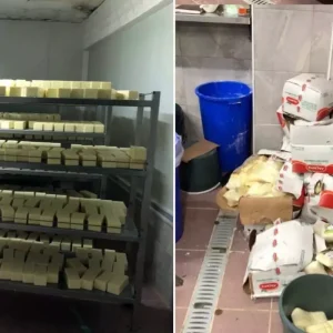 sakarya da sahte kasar peyniri operasyonu 5 ton 18654702 2264 amp