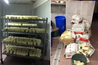 sakarya da sahte kasar peyniri operasyonu 5 ton 18654702 2264 amp