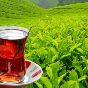 tarim ve orman bakanligi yas cay alim fiyatini 18623178 3596 amp