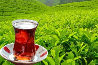 tarim ve orman bakanligi yas cay alim fiyatini 18623178 3596 amp
