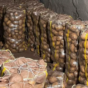 yurt disindan gelen 2 bin tondan fazla patates 18598975 3144 amp