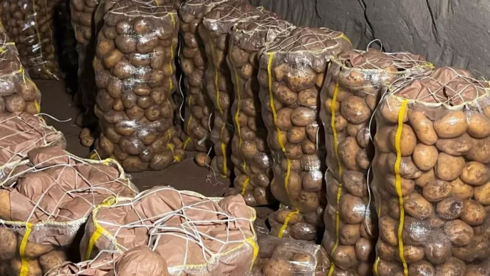 yurt disindan gelen 2 bin tondan fazla patates 18598975 3144 amp