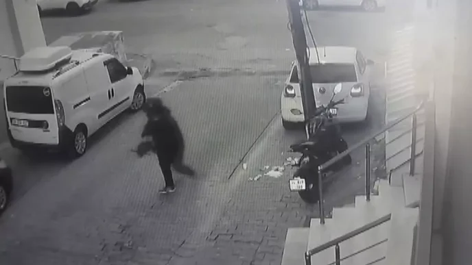 Istanbulda Motosiklet Hirsizlari Yakalandi Haberler