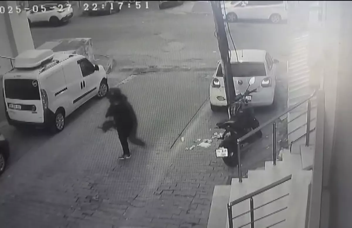 Istanbulda Motosiklet Hirsizlari Yakalandi Haberler