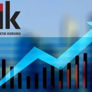TUIK ENFLASYON VERILERI ACIKLANDI Mayis ayi enflasyonu ne oldu 2025