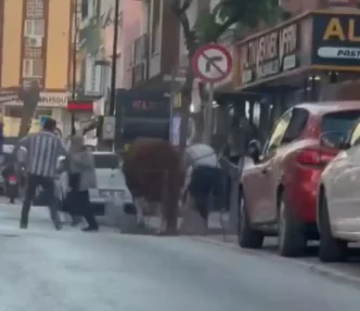 Umraniyede Kurban Pazarindan Kacan Boga Ortaligi Karistirdi