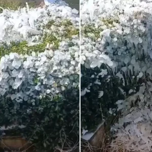 Yer Osmaniye Mezarlikta cekildigi soylenen goruntu buyuk tartisma yaratti