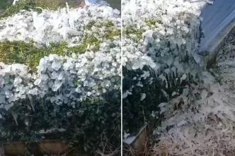 Yer Osmaniye Mezarlikta cekildigi soylenen goruntu buyuk tartisma yaratti