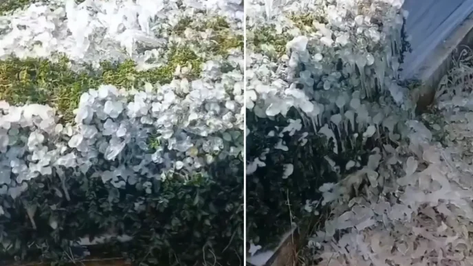 Yer Osmaniye Mezarlikta cekildigi soylenen goruntu buyuk tartisma yaratti