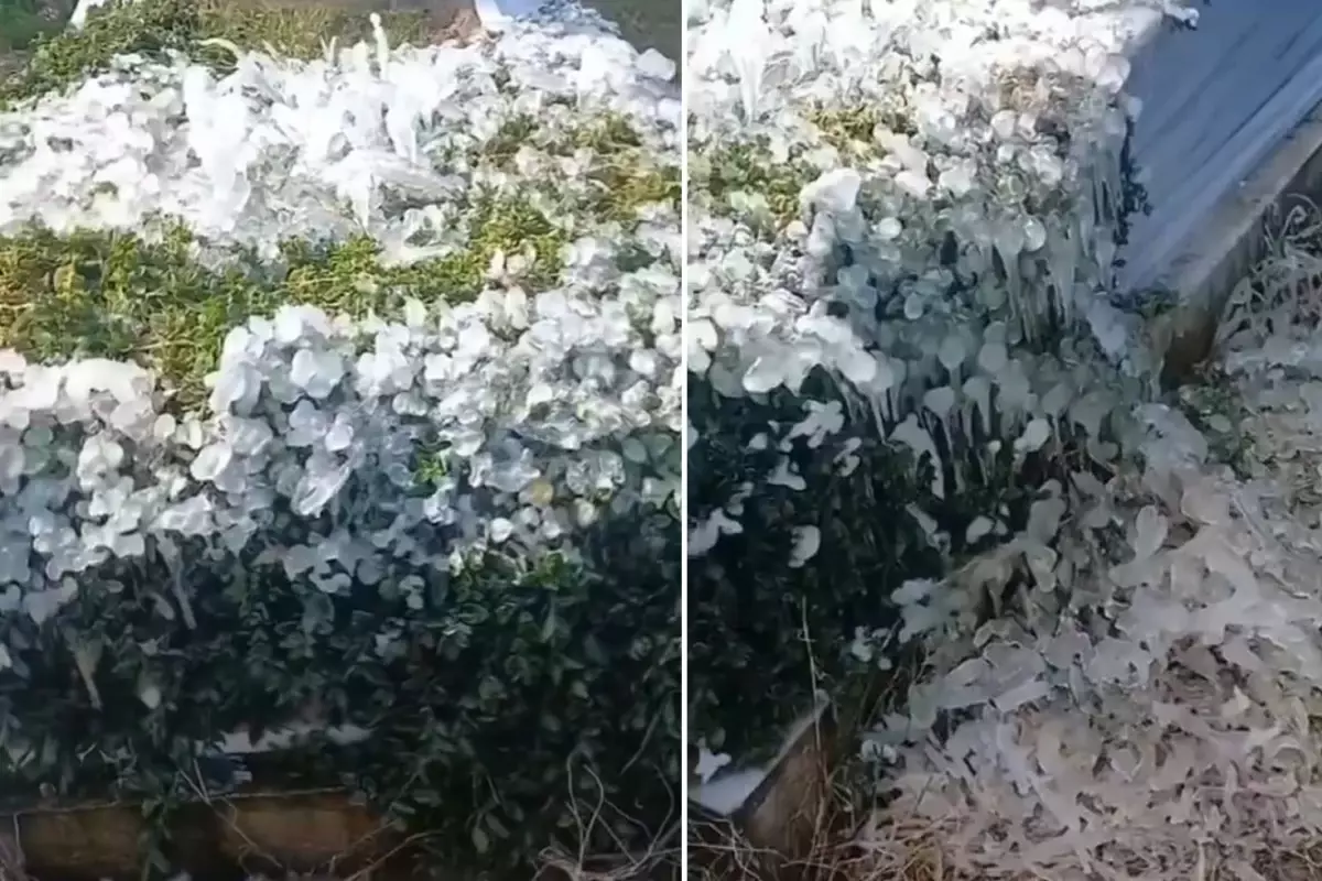 Yer Osmaniye Mezarlikta cekildigi soylenen goruntu buyuk tartisma yaratti