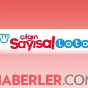 cilgin sayisal loto cekilis sonuclari sorgulama 18790895 1233 amp