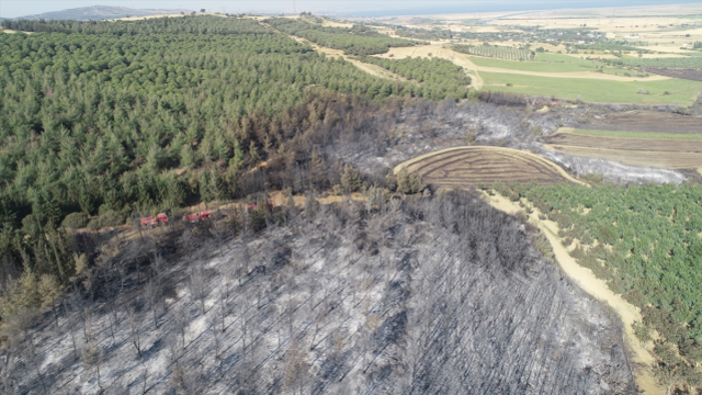 Tekirdağ'daki orman yangını ikinci günde kontrol altına alındı