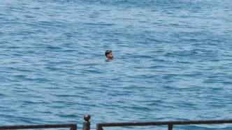 Adil Tek Istanbulda sicakligin 43 44 dereceye cikacagini tahmin ediyoruz sicaklik
