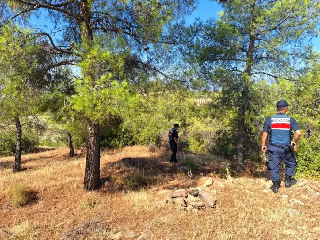 Aydinda Orman Yanginlarina Karsi Denetimler Sikilasti