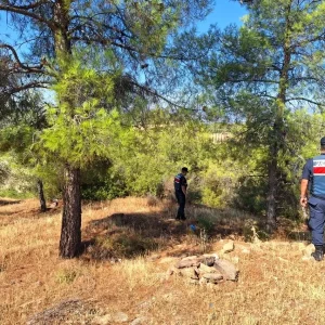 Aydinda Orman Yanginlarina Karsi Denetimler Sikilasti