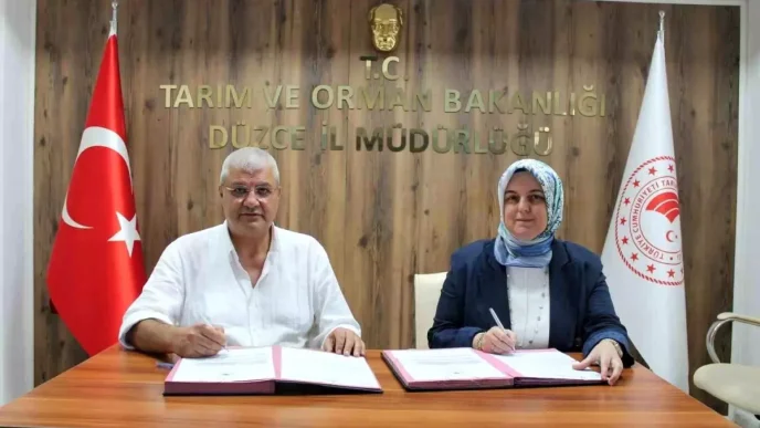 Duzcede Findik Isletme Tesisine 76 Milyon Lira Hibe