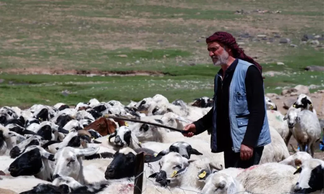Erzurumda Koyumde Yasamak Icin Bir Suru Nedenim Var Projesi ile