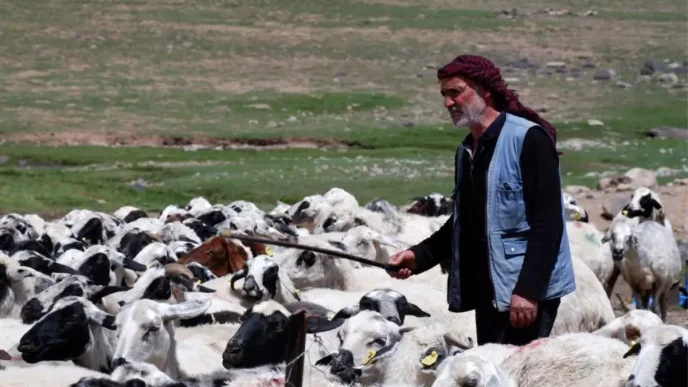 Erzurumda Koyumde Yasamak Icin Bir Suru Nedenim Var Projesi ile