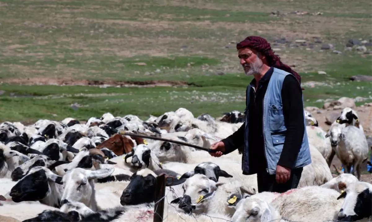 Erzurumda Koyumde Yasamak Icin Bir Suru Nedenim Var Projesi ile
