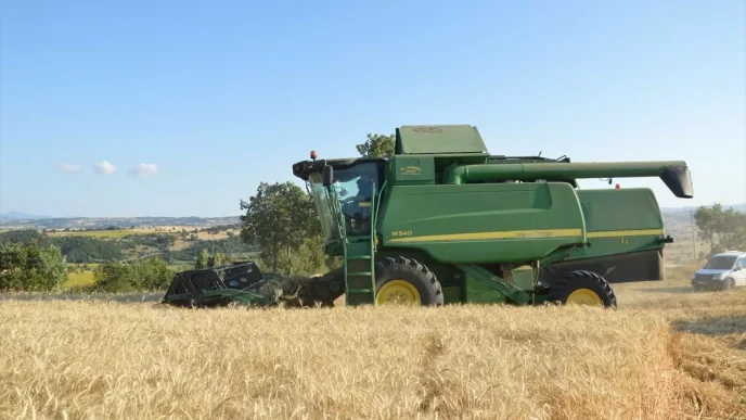 Havzada Bugday Hasadi ve Rekolte Beklentisi