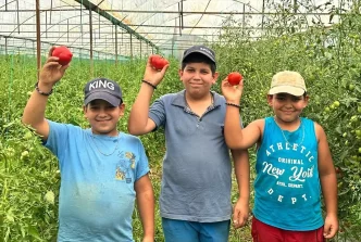 Isparta Yaylalarinda Ortu Alti Domates Hasadi Basladi