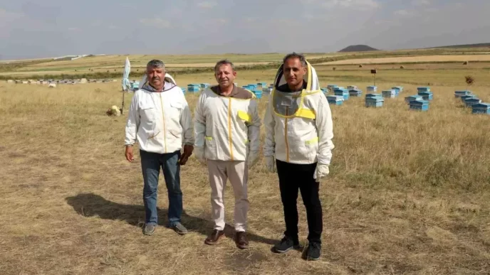 Karsta 2025 Yili Icin 1800 Ton Bal Rekoltesi Bekleniyor