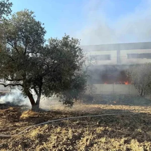 Kemalpasada Kamyonetteki Yangin Fabrikayi Tehdit Etti