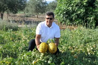 Kirkagac Kavunu AB Cografi Tescil Belgesi Aldi
