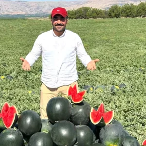 Malatyada Kavun ve Karpuz Hasadi Basladi