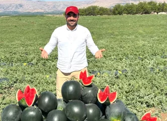 Malatyada Kavun ve Karpuz Hasadi Basladi