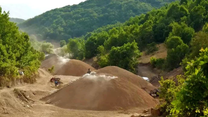 Mus Daglarinda Mangal Komuru Uretimi Ekonomiyi Canlandiriyor