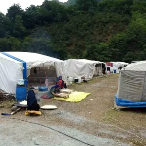 Orduda Findik Hasadi Icin Mevsimlik Tarim Iscileri Geldi