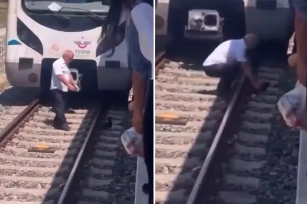 Raylara dusen kediyi kurtarmak icin treni durdurdu raylara indi