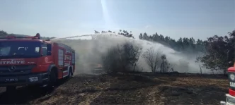 Samsunda Tarim Arazisinde Yangin 40 Donum Zarar Gordu