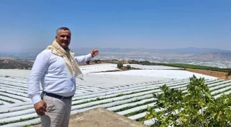Sarigol Ovasindaki Uzum Baglari Beyaz Gelinlige Burundu
