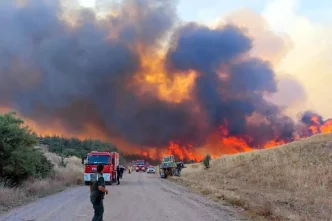Tekirdagda orman yangini Alevlerin tehdit ettigi bir mahalle bosaltiliyor