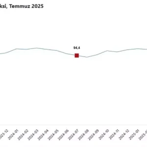 Temmuz Ayinda Ekonomik Guven Endeksi 04 Azaldi