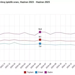 Turkiyede Issizlik Orani Haziranda Yuzde 86ya Yukseldi