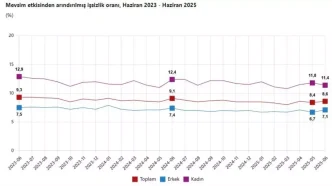 Turkiyede Issizlik Orani Haziranda Yuzde 86ya Yukseldi