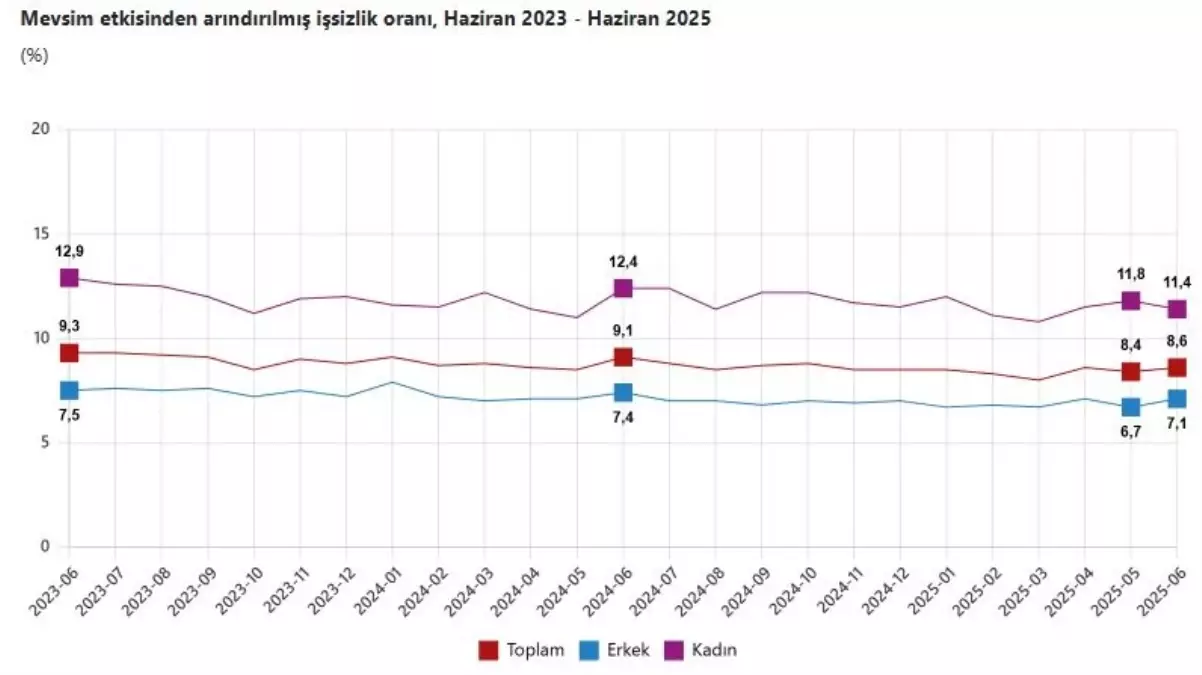 Turkiyede Issizlik Orani Haziranda Yuzde 86ya Yukseldi