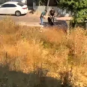 Umraniyede Silahli Saldiri Eski Sevgili Darp Edildi