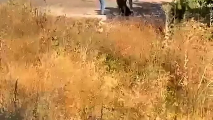 Umraniyede Silahli Saldiri Eski Sevgili Darp Edildi