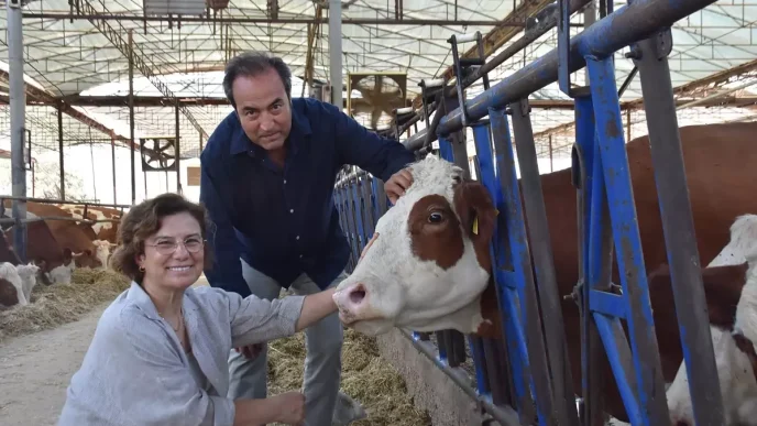 Veteriner Ciftin Sut Ciftliginde Buzagilara Isim Verme Gelenegi