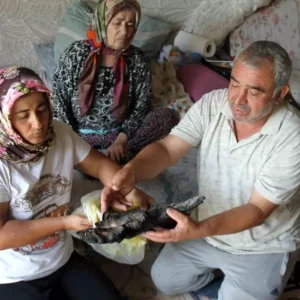 Yanginda Aile Felaketi 90 Bin Lira ve Hayvan Yemleri Kule